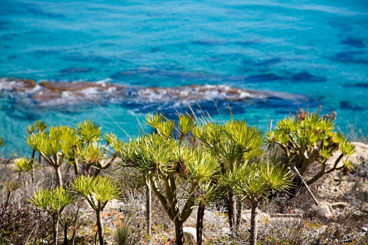 Calanuza Villa El Campello Exterior photo